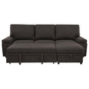 Demko Sleeper Sectional Sofa with Speaker and Storage Chaise Brown