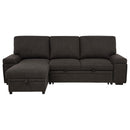 Demko Sleeper Sectional Sofa with Speaker and Storage Chaise Brown