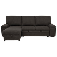 Demko Sleeper Sectional Sofa with Speaker and Storage Chaise Brown