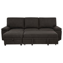 Demko Sleeper Sectional Sofa with Speaker and Storage Chaise Brown