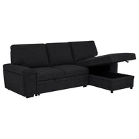 Demko Sleeper Sectional Sofa with Speaker and Storage Chaise Black