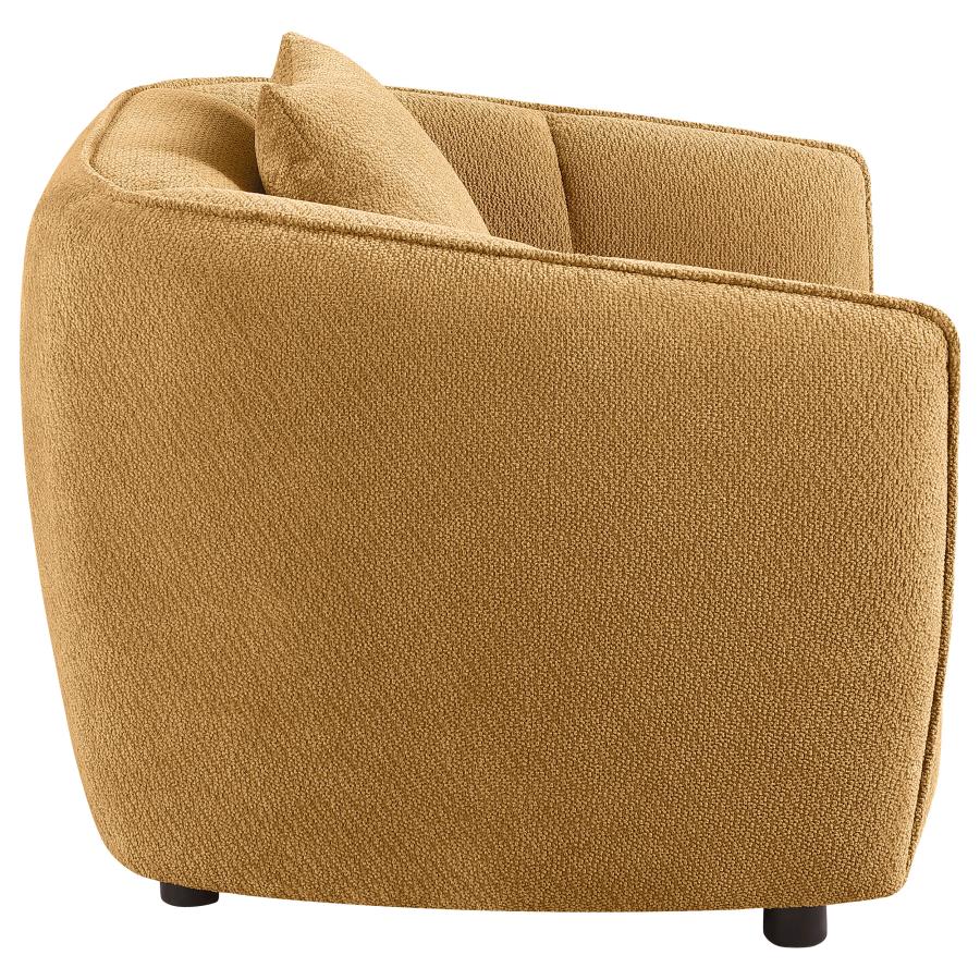 Home & Sleep Outlet - Aleisha Chenille Upholstered Accent Chair Mustard Yellow