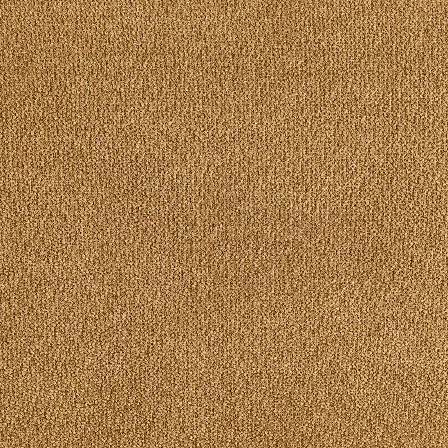 Home & Sleep Outlet - Aleisha Chenille Upholstered Accent Chair Mustard Yellow