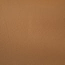 Buxton Top Grain Leather Upholstered Loveseat Orange