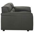 Buxton 2-piece Leather Upholstered Sofa Set Graphite