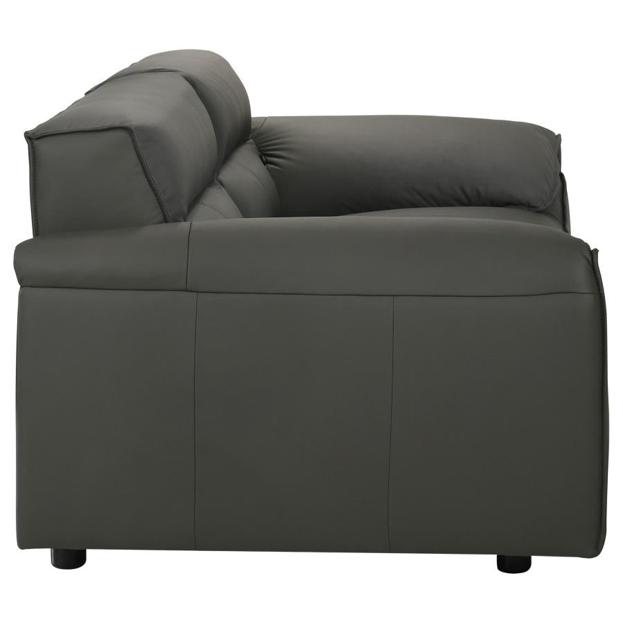 Buxton 2-piece Leather Upholstered Sofa Set Graphite