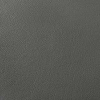 Buxton Top Grain Leather Upholstered Loveseat Graphite