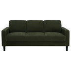 Home & Sleep Outlet - Ruth 2-piece Fabric Upholstered Track Arm Sofa Matcha Green