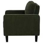 Home & Sleep Outlet - Ruth Fabric Upholstered Track Arm Accent Chair Matcha Green