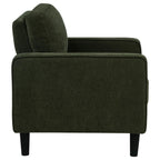 Home & Sleep Outlet - Ruth Fabric Upholstered Track Arm Accent Chair Matcha Green