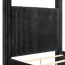 CARLA 5118BK-Q (3-Piece Bed Set)
