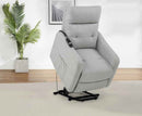 Dayes Upholstered Power Lift Recliner Chair Light Grey