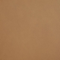 Armstrong Upholstered Power Lift Massage Recliner Camel