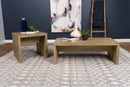 Lynette Square Engineered Wood End Table Mango