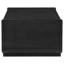 Leandro 2-drawer Wood Cocktail Coffee Table Burnished Black