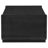 Leandro 2-drawer Wood Cocktail Coffee Table Burnished Black