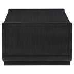 Home & Sleep Outlet - Leandro 2-drawer Wood Cocktail Coffee Table Burnished Black
