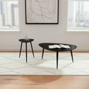 Odessa 2-piece Triangular Coffee and End Table Set Black