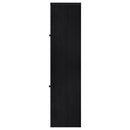 Denison 67-inch 2-door Media Tower Storage Cabinet Black
