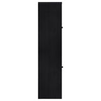 Home & Sleep Outlet - Denison 67-inch 2-door Media Tower Storage Cabinet Black