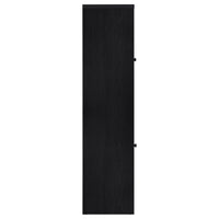 Denison 67-inch 2-door Media Tower Storage Cabinet Black