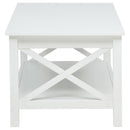 Skyview 2-piece Rectangular Lift Top Coffee Table Set White