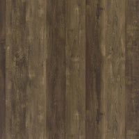 Myles 2-door Engineered Wood 60-inch TV Stand Rustic Oak