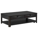 Marcelo Wood Coffee Table with 2 Drawers and Shelf Coffee