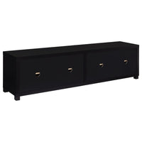 Sachin 4-door Engineered Wood 79-inch TV Stand Black