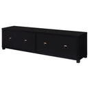 Sachin 4-door Engineered Wood 79-inch TV Stand Black