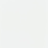 Roberto 4-Panel Room Divider Folding Shoji Screen White