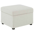 Winter Upholstered Hydraulic Lift Top Storage Ottoman Beige - Home & Sleep Outlet