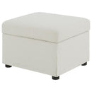 Winter Upholstered Hydraulic Lift Top Storage Ottoman Beige - Home & Sleep Outlet