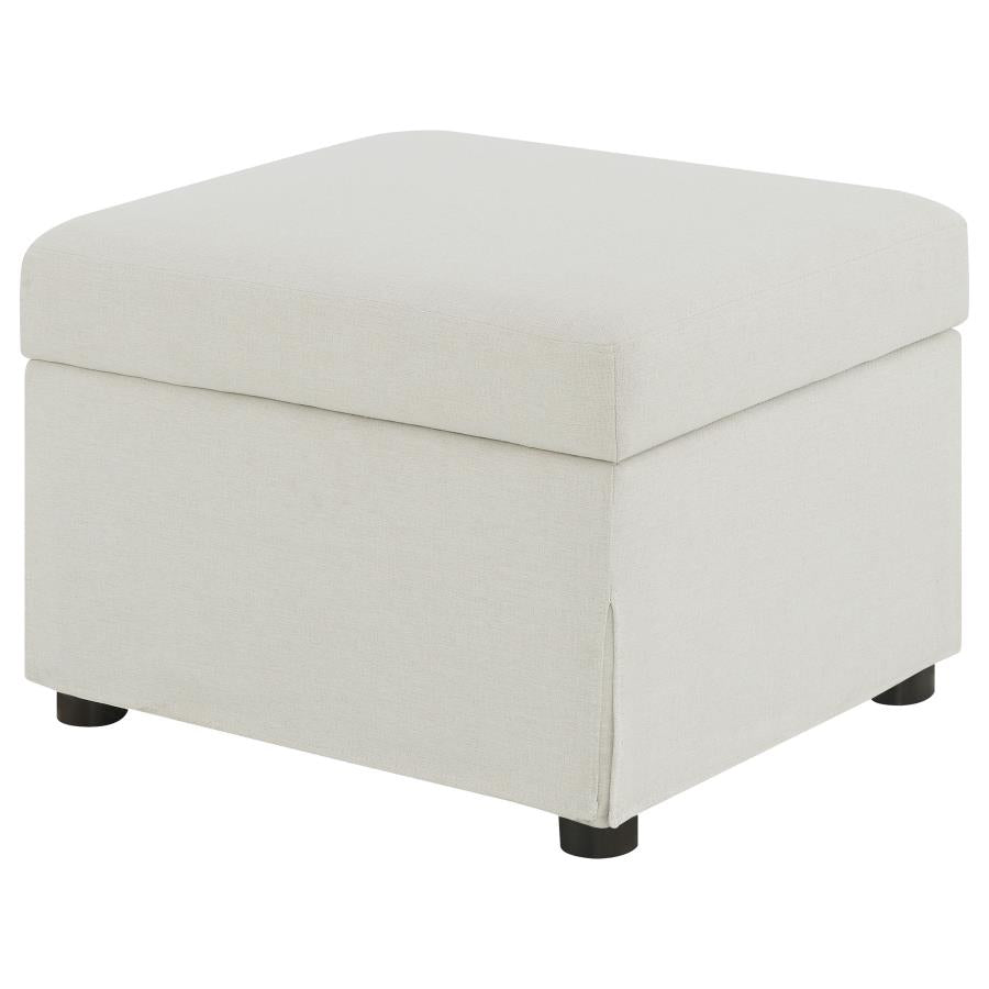 Winter Upholstered Hydraulic Lift Top Storage Ottoman Beige - Home & Sleep Outlet