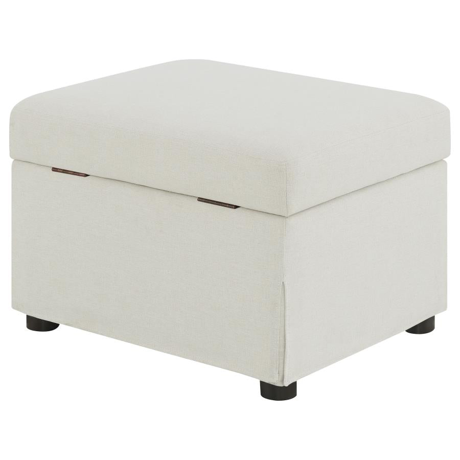 Winter Upholstered Hydraulic Lift Top Storage Ottoman Beige - Home & Sleep Outlet