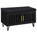 Brixton 2-door Padded Entryway Shoe Storage Bench Black