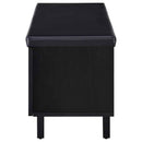 Brixton 2-door Padded Entryway Shoe Storage Bench Black