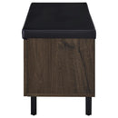 Brixton 2-door Padded Entryway Shoe Storage Bench Smoked Oak