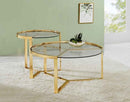 Delia 2-Piece Round Glass Top Nesting Coffee Table Gold
