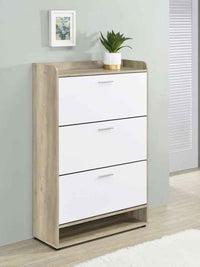 Denia 3-tier Engineered Wood Shoe Cabinet White