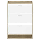 Denia 3-tier Engineered Wood Shoe Cabinet White