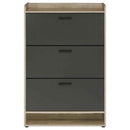 Denia 3-tier Engineered Wood Shoe Cabinet Grey