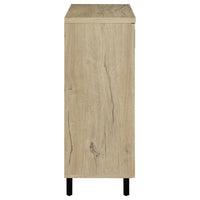 Brixton 2-door Entryway Shoe Storage Cabinets White Oak