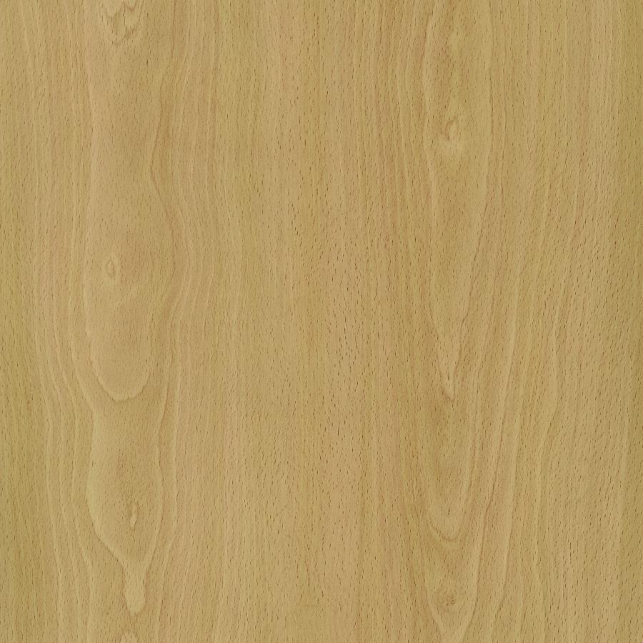 Edwards 4-Panel Room Divider Folding Shoji Screen Natural