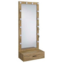 Spector 1-drawer Lighted Full-Length Floor Mirror Mango