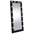 Zayan 32 x 71 Inch Floor Mirror LED Lighting Black Gloss