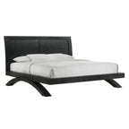 Allan-King-Bed-in-Black