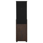 Bones-Dartboard-Cabinet-SSG-120405--Cabinet-with-Dartboard