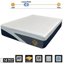 Serenity Breeze Wave SER4 - All Foam