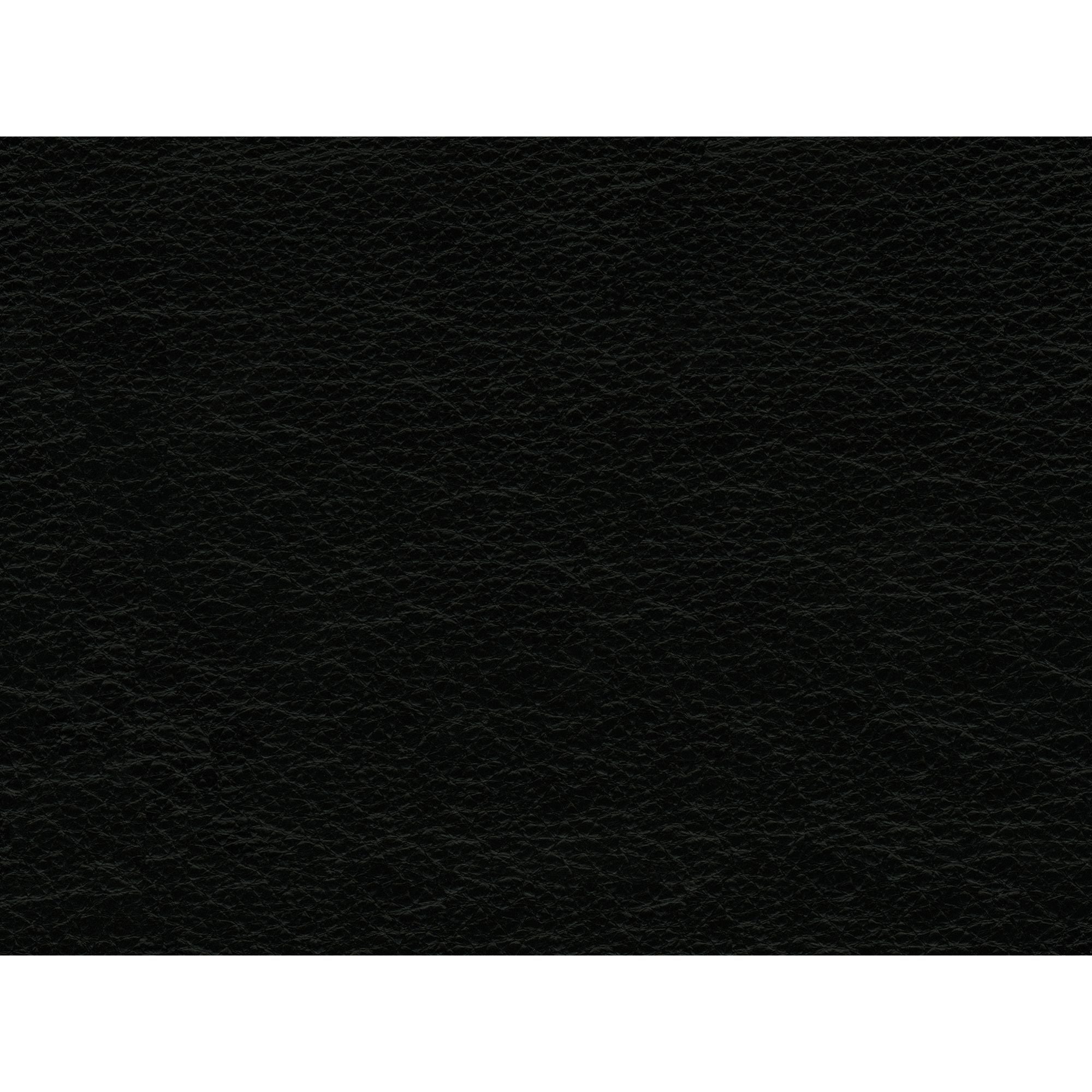 Hampton-Sofa-In-Fiero-Black-(Top-Grain/PVC)